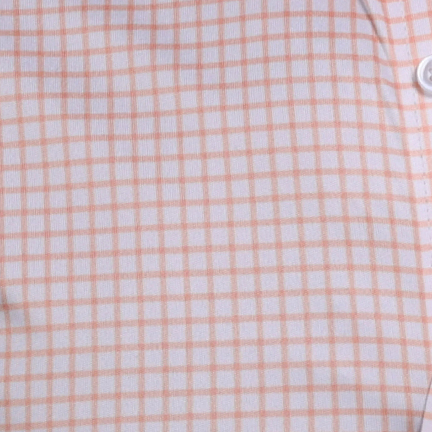 Semi-Spread Collar Polo